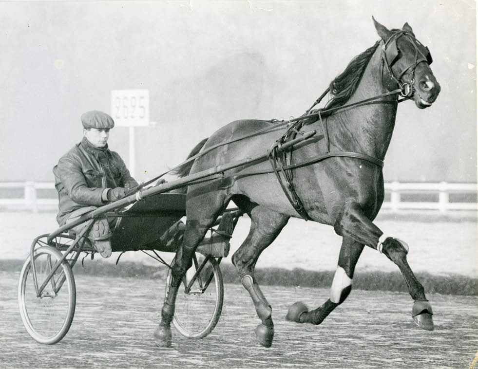 Foto: EINAR ANDERSSON Vincennes