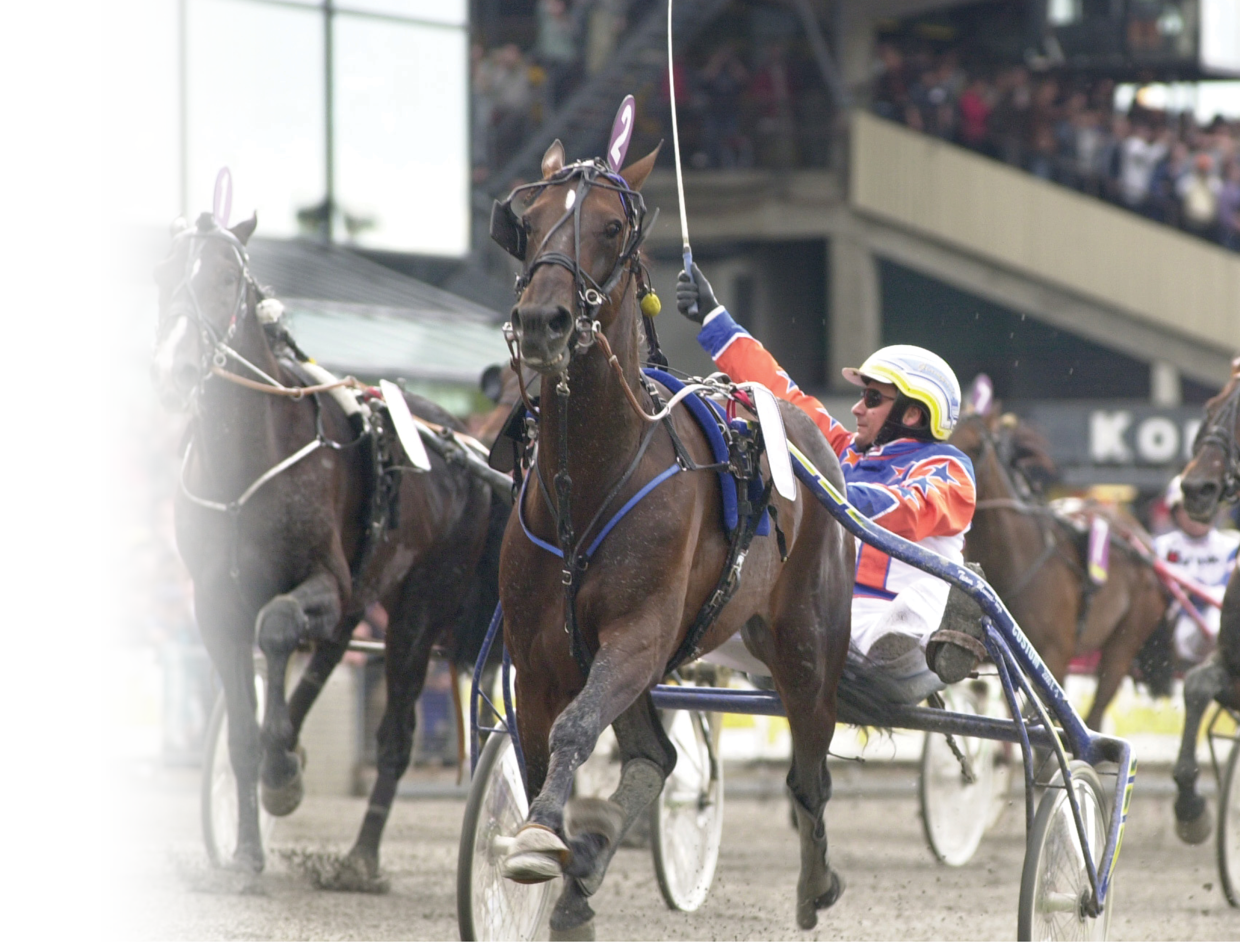 elitloppet Fotograf: Referens: Place:
