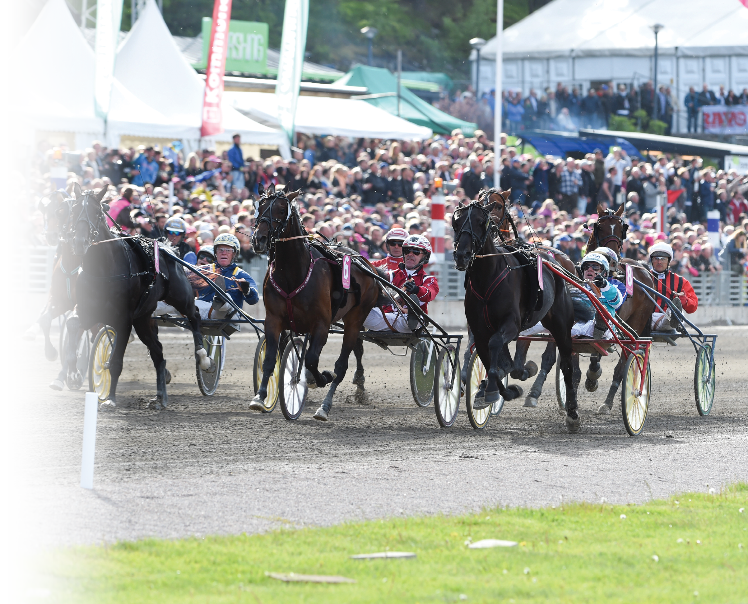 Foto : TB : magic Tonight rjan Kihlstr m vinner  Elitloppet 20