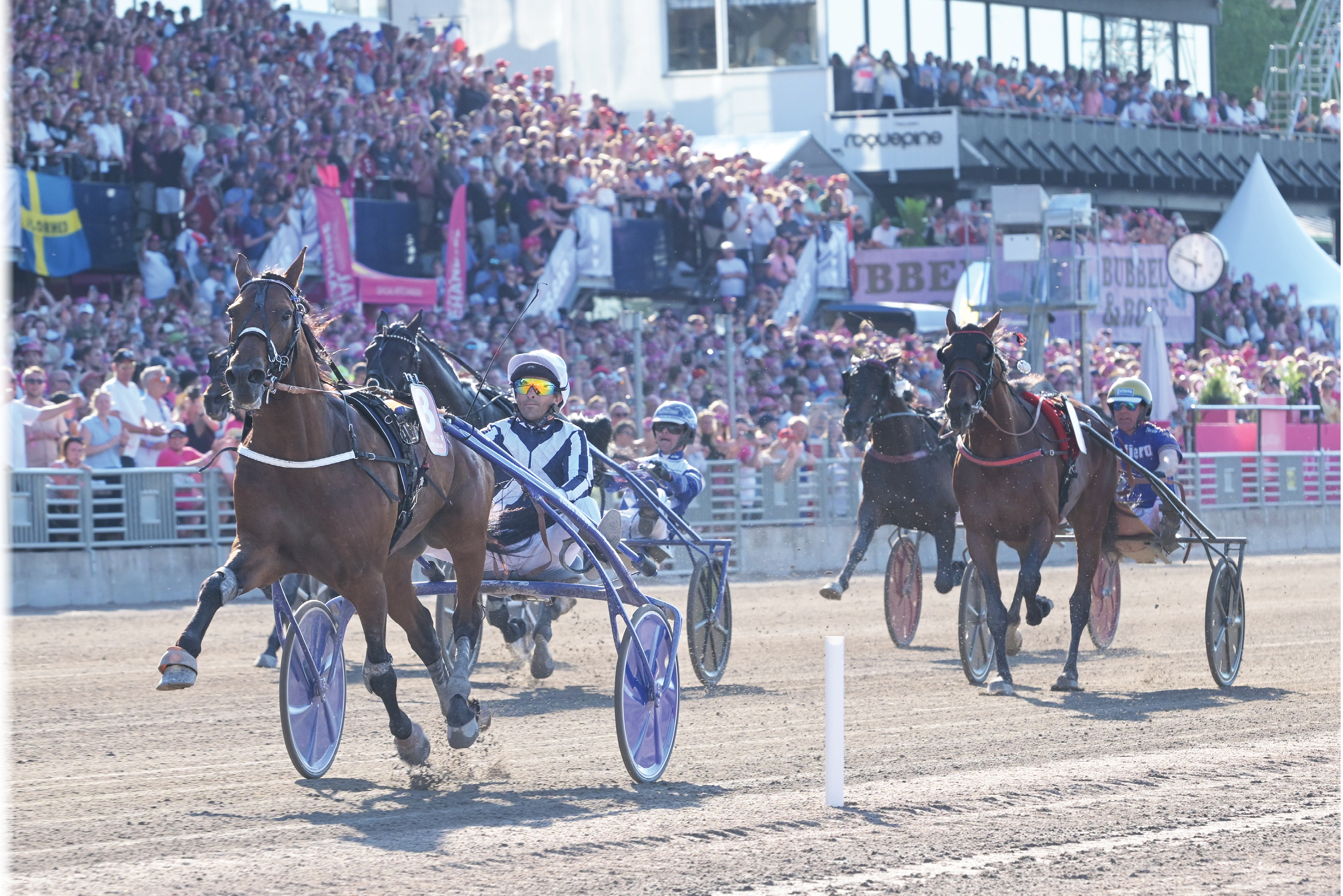 Elitloppet 2024 Horsy Dream - Eric Raffin - Pierre Belloche  Foto: Lars Jakobsson